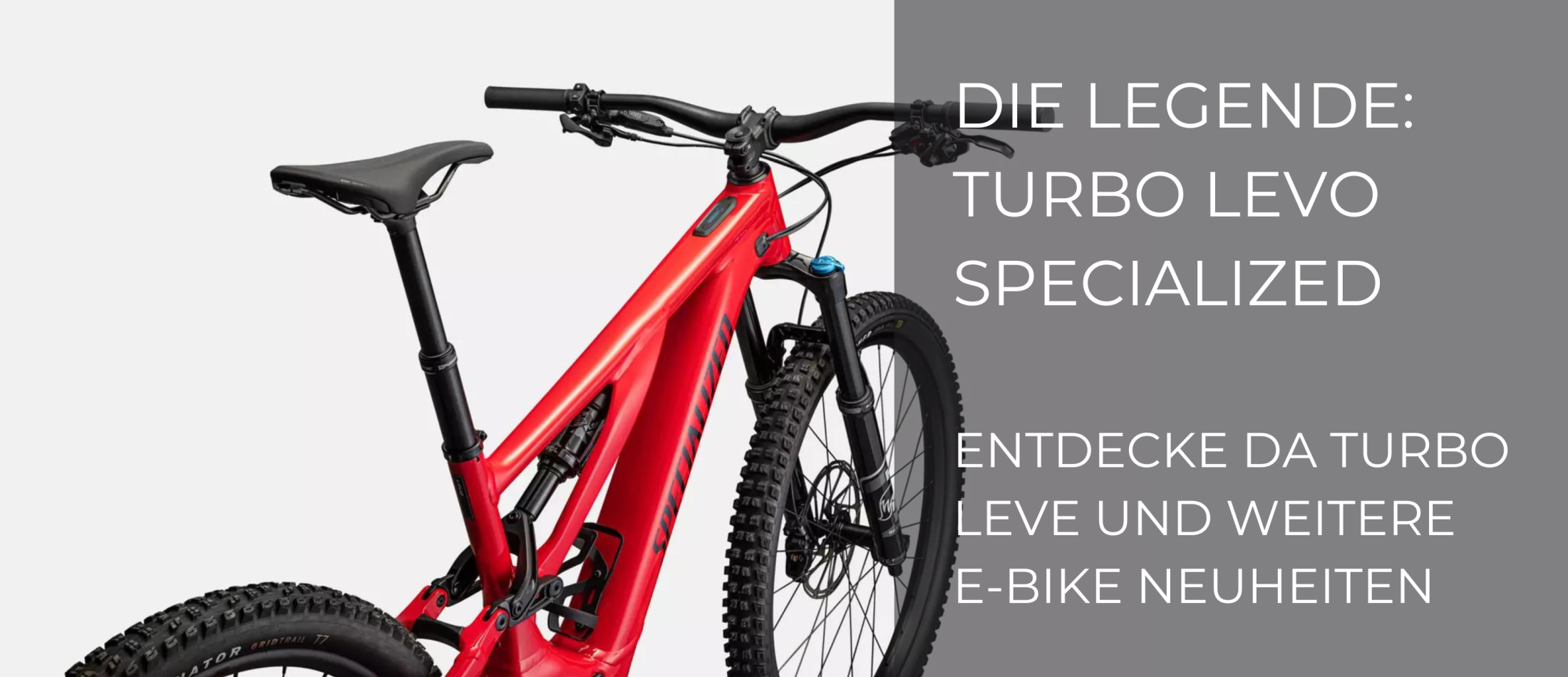 E-Bikes online kaufen